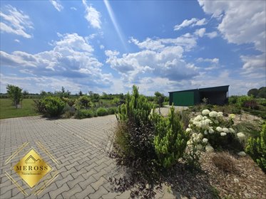 Polecam działkę 2383 m² z sadami i mediami w Czarnym Lesie działka Czarny Las