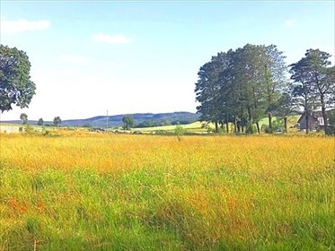 Działka rolna 3500 m² z wodą i prądem - zapraszam działka Gorzeszów
