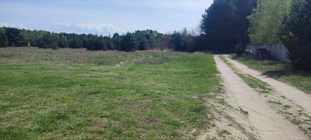 działka na sprzedaż 3000m2 działka Koźminek