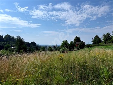 Działka 1224 m² z potencjałem inwestycyjnym i możliwością budowy działka Jelenia Góra