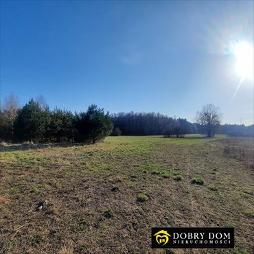 działka na sprzedaż 27200m2 działka Płonka Kościelna