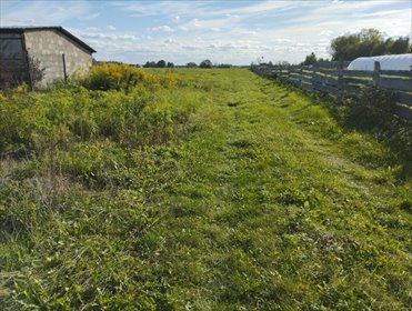 Działka budowlana na sprzedaż Rąbień 2 430m2 Foto 5