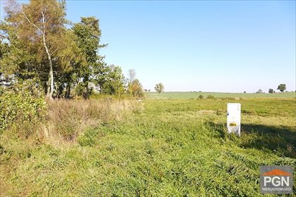 Zapraszam do zakupu działki 7000 m² w Trzebieszewie działka Trzebieszewo