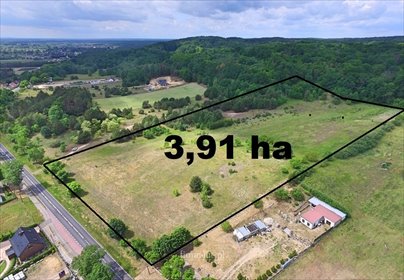 działka na sprzedaż 39100m2 działka Bogdaniec