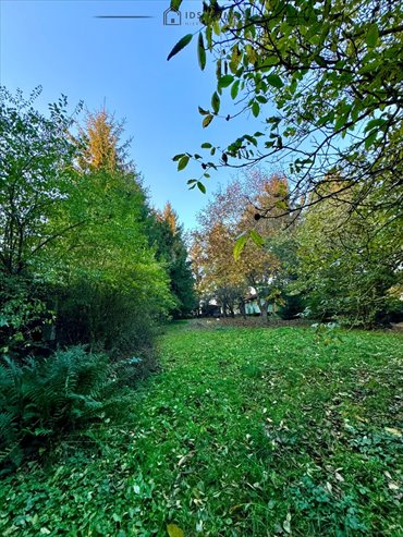 Malownicza działka 2566 m² przy rzece Minina, zagospodarowana działka Krasienin-Kolonia
