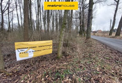 Polecam działkę leśną 4,6 ha w Dzietrzychowicach działka Dzietrzychowice