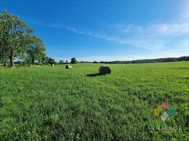 Działka budowlana na sprzedaż Sąpłaty 23 600m2 Foto 5