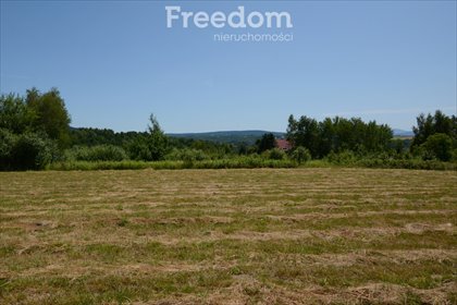 działka na sprzedaż 1611m2 działka Barwałd Średni