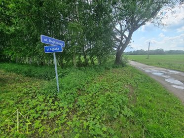Działki z oczkiem wodnym i lasem w Bodzanowie - polecam działka Bodzanów, Kępska