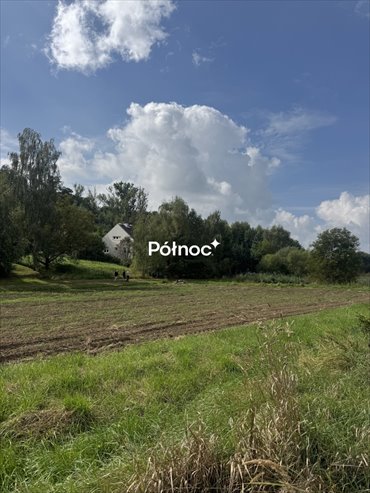 Działka budowlana 770 m² w Pękowicach (media, asfalt) działka Pękowice