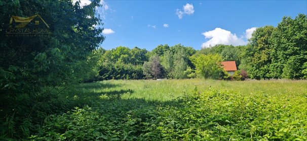 działka na sprzedaż 9875m2 działka Bojanice