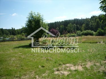 działka na sprzedaż 11300m2 działka Wieńkowo