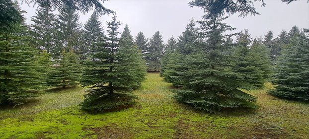 działka na sprzedaż 730m2 działka Żółtki