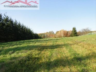 działka na sprzedaż 8700m2 działka Brzozów