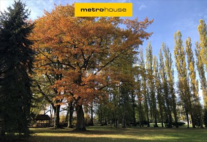 działka na sprzedaż 25000m2 działka Wodziczna