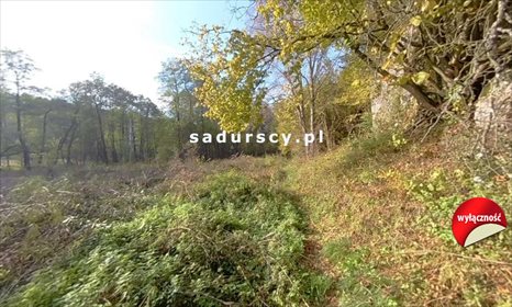 działka na sprzedaż 2900m2 działka Mników