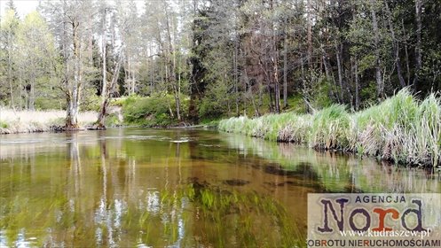 działka na sprzedaż 10500m2 działka Frącki