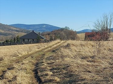 działka na sprzedaż 1979m2 działka Walim, Niedźwiedzica