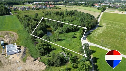 Duża zalesiona działka z lasem i stawem pod Gdańskiem działka Kartuski, Jabłonowa