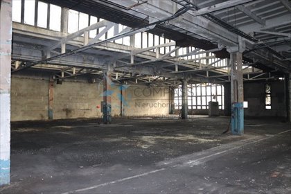 Lokal użytkowy na sprzedaż Poznań, Nowe Miasto, Nieszawska 3 530m2 Foto 5