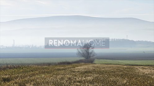 działka na sprzedaż 3009m2 działka Książnica