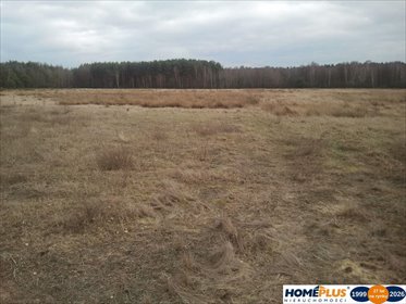 Na sprzedaż działka 6 000 m² z warunkami zabudowy w Ostrówku działka Ostrówek