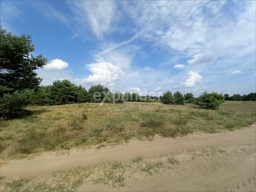 działka na sprzedaż 800m2 działka Wólka