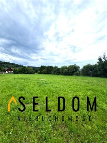 Działka 1305 m² z warunkami zabudowy w Sosnówce. działka Sosnówka