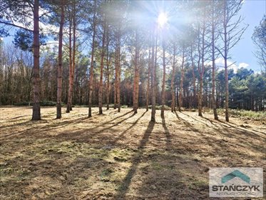 działka na sprzedaż 1350m2 działka Golczewo