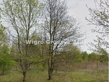 działka na sprzedaż 3000m2 działka Secymin Polski