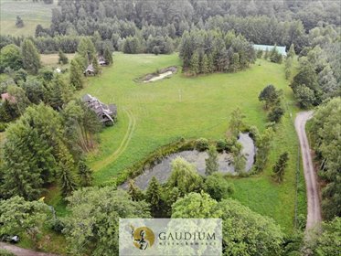 Do sprzedania działka 29 856 m² z 3 stawami i lasem w Kaszubach działka Pomlewo