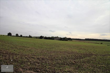 Działki pod zabudowę w Dziadowej Kłodzie. działka Dziadowa Kłoda, Gmina Dziadowa Kłoda