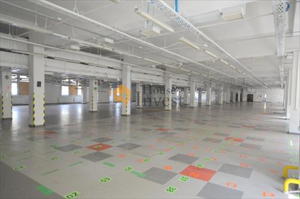 Magazyn 8 000 m² z biurami, monitoringiem - zapraszam magazyn Legnica, rynek Rynek