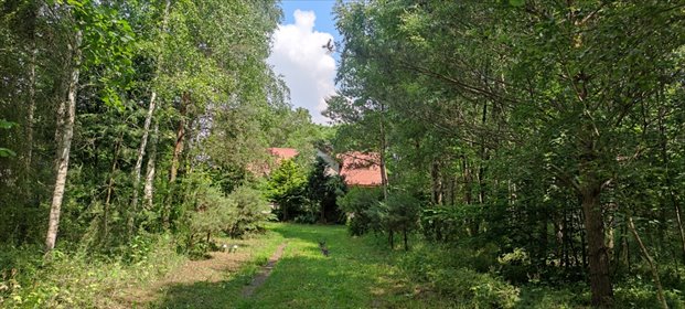 Urokliwy dom 120 m² z ogrodem i stodołą w Ciućkowie dom Ciućkowo