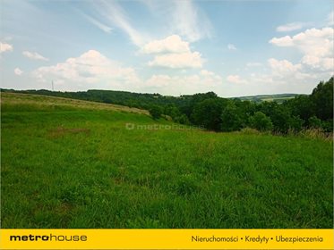 Działka rolna na sprzedaż Piątkowa, Błażowa 1 800m2 Foto 2