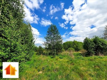 działka na sprzedaż 7411m2 działka Juchnowiec Kościelny, Słoneczna