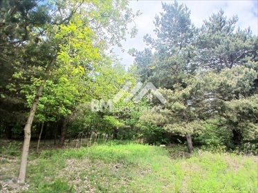 działka na sprzedaż 1540m2 działka Szczęsne