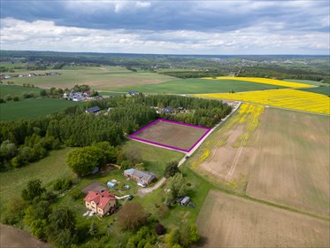 działka na sprzedaż 4982m2 działka Lisewiec, Rajska