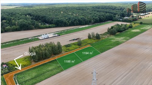 Zapraszam do zakupu działek budowlanych 1186 i 1194 m² w Kazimierzówce działka Kazimierzówka