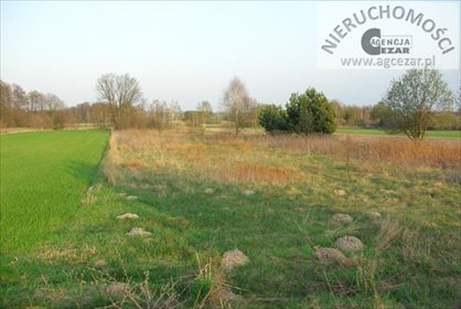 działka na sprzedaż 5700m2 działka Gągolina