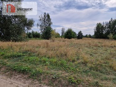 działka na sprzedaż 2500m2 działka Rogowo