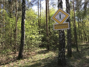 Działka 2150 m² z planem zagospodarowania, uzdrowisko działka piaseczyński