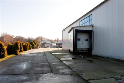 lokal użytkowy na wynajem 18000m2 lokal użytkowy Konstancin-Jeziorna, Kawęczynek