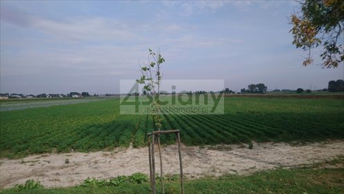 działka na sprzedaż 28000m2 działka Płochocin