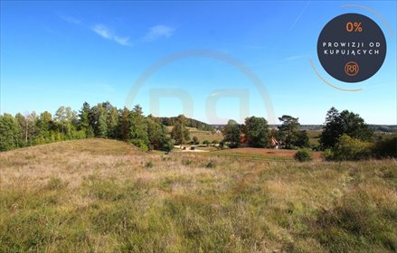 Działka 4494 m² z widokiem i decyzją o zabudowie działka Oracze