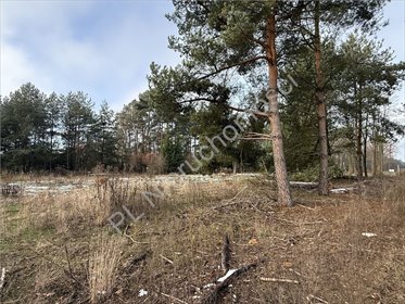 działka na sprzedaż 3850m2 działka Kaleń