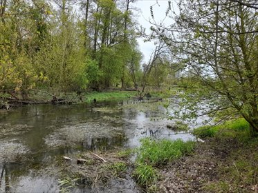 Do sprzedania działka 5490 m² z dostępem do rzeki Utraty działka Strzyżew