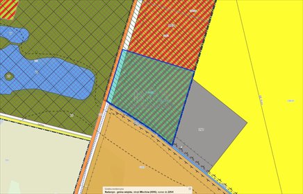 Do sprzedania działka 24 990 m² w Młochowie działka Młochów, Platanowa