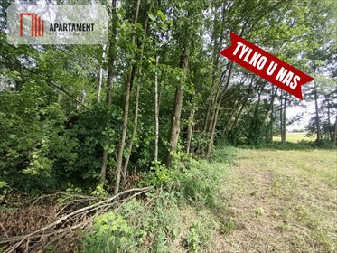 Działka 2100 m2 z lasem i warunkami zabudowy, cisza i przyroda działka Bramka