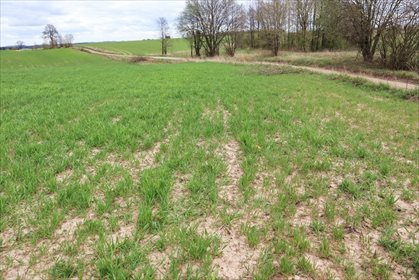 Działka rolna na sprzedaż Gorłówko 3 883m2 Foto 5